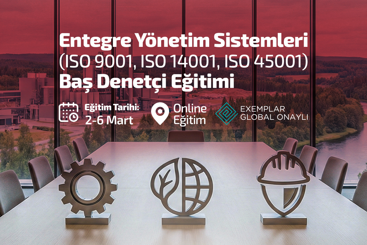 Entegre Yönetim Sistemleri Görseli
