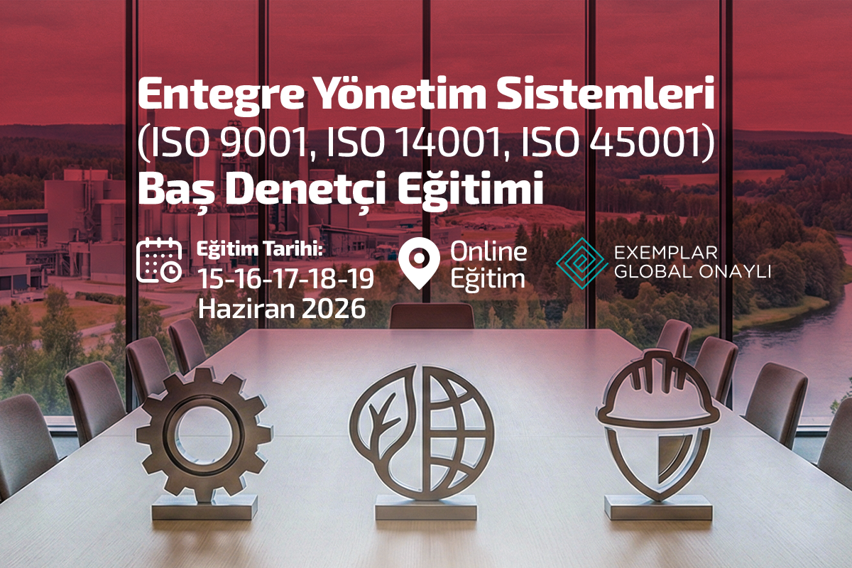 Entegre Yönetim Sistemleri Görseli